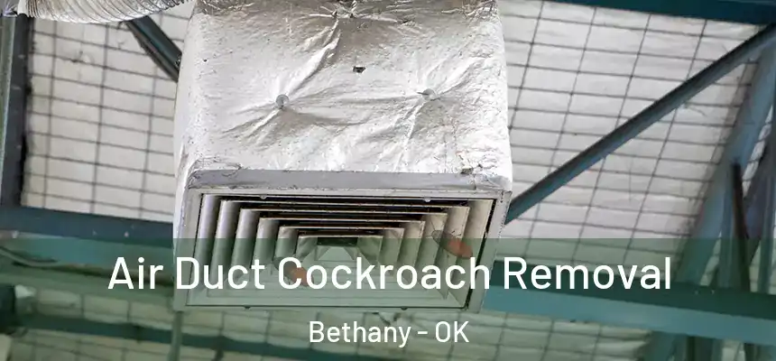  Air Duct Cockroach Removal Bethany - OK