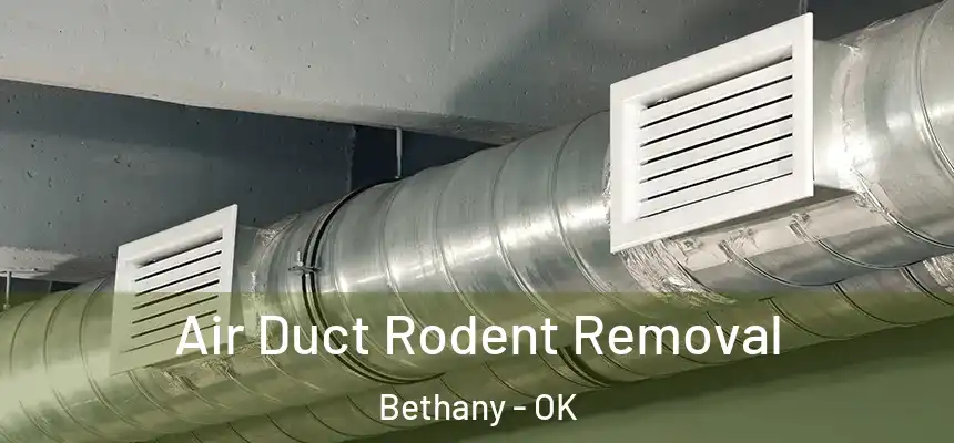  Air Duct Rodent Removal Bethany - OK