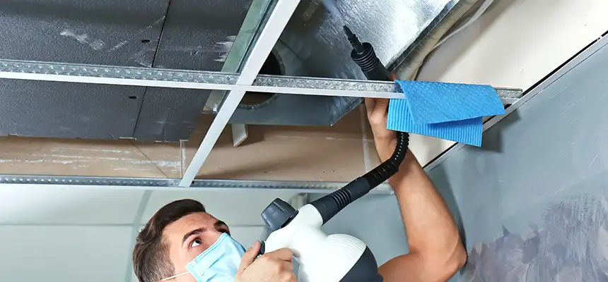 Our Air Duct Rodent Removal Services in Bethany, OK