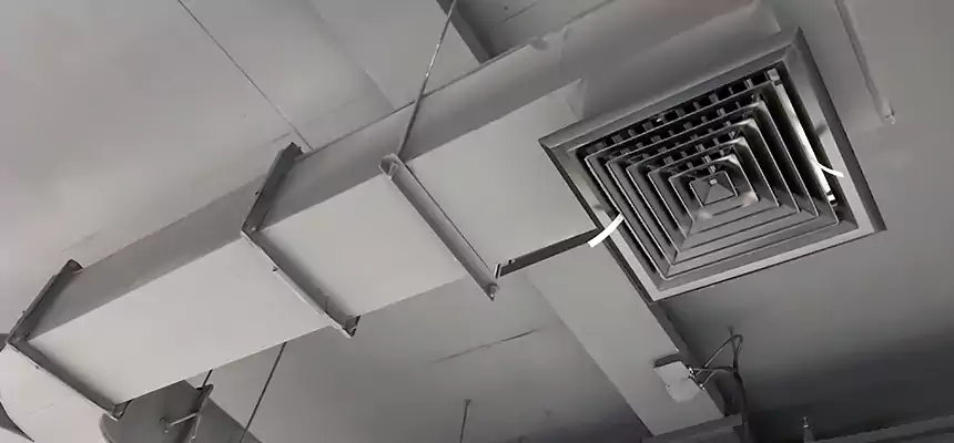 Restorative Allergy Relief Vent Cleaning – Coil, Blower & Housing Detail in Bethany