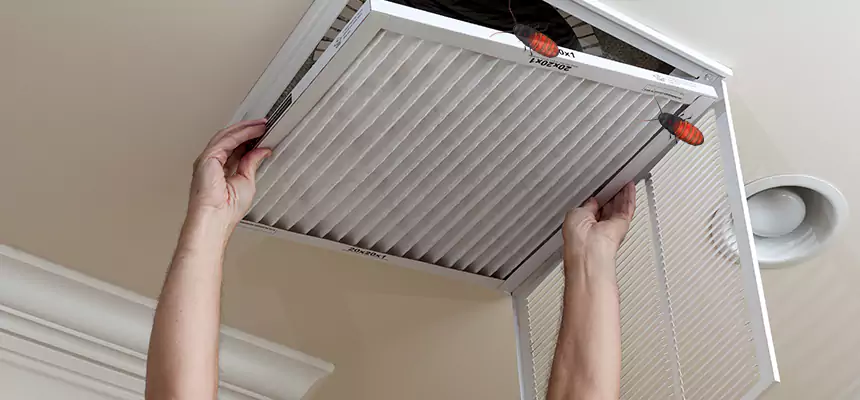 Our Insect Removal from Air Ducts Services in Bethany, OK