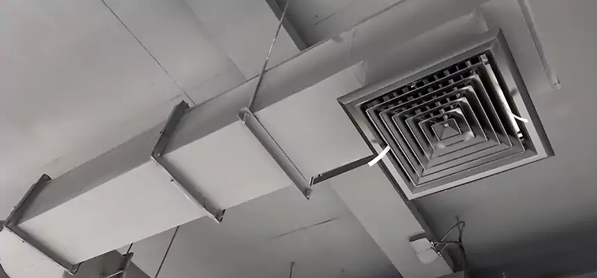 Our Pest Removal From Ducts Services in Bethany, OK