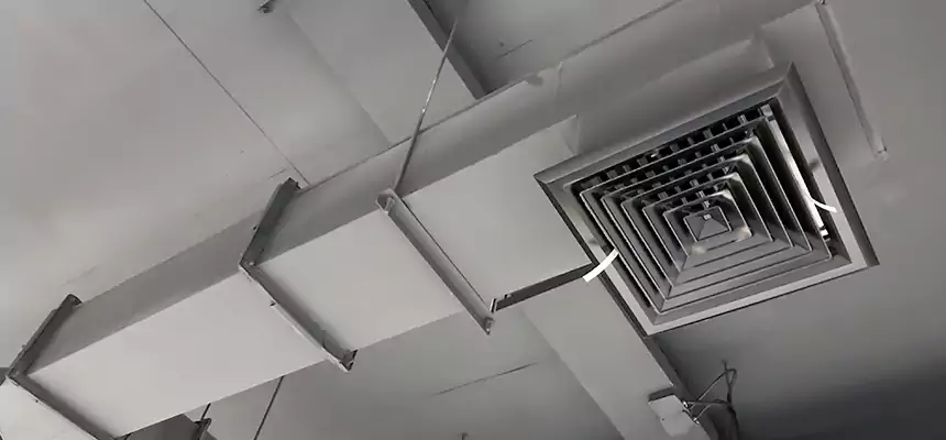 Our Rodent Droppings In Vents Services in Bethany, OK