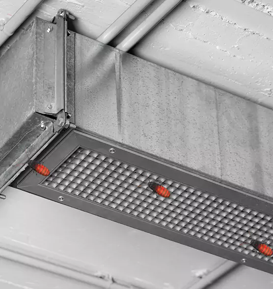 Affordable Insect Removal from Air Ducts in Bethany, OK