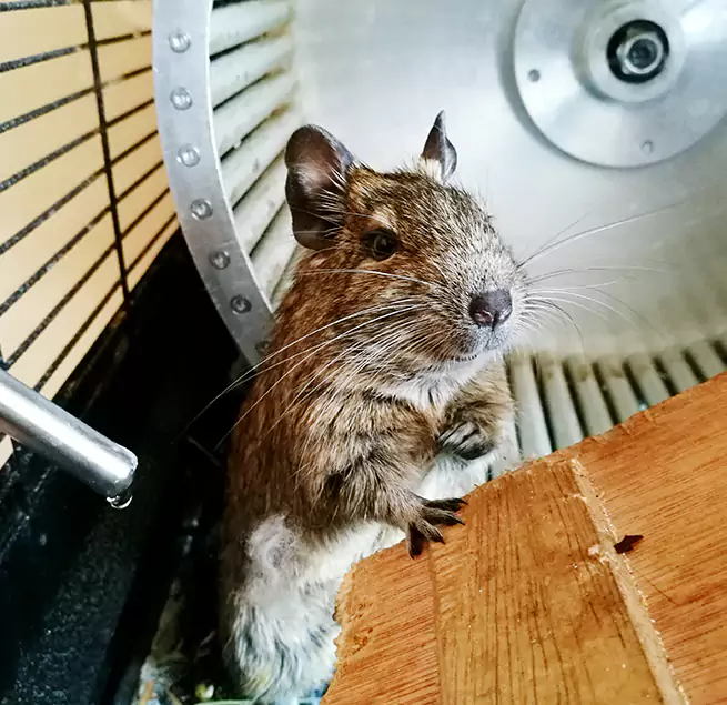 Why Homeowners & Businesses Trust Us Bethany, OK